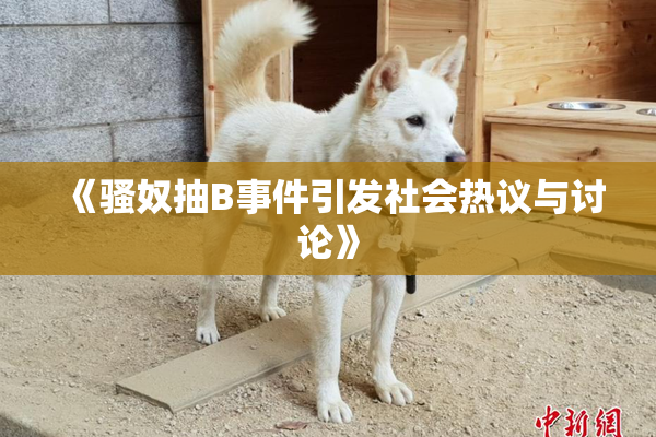 《骚奴抽B事件引发社会热议与讨论》