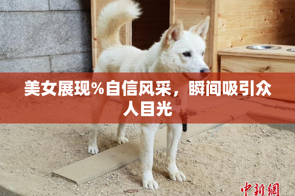 美女展现%自信风采，瞬间吸引众人目光