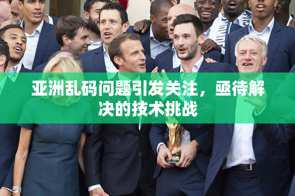 亚洲乱码问题引发关注，亟待解决的技术挑战