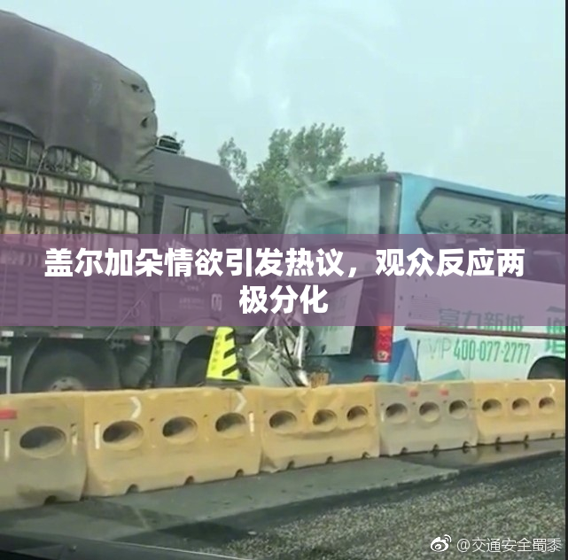 盖尔加朵情欲引发热议，观众反应两极分化