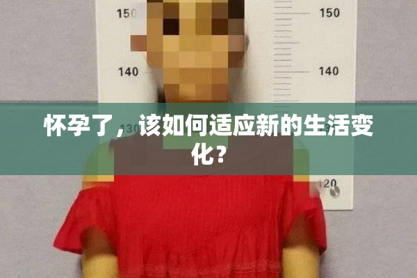 怀孕了，该如何适应新的生活变化？