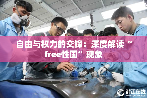 自由与权力的交锋：深度解读“free性国”现象