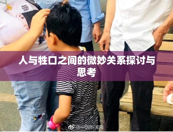 人与牲口之间的微妙关系探讨与思考