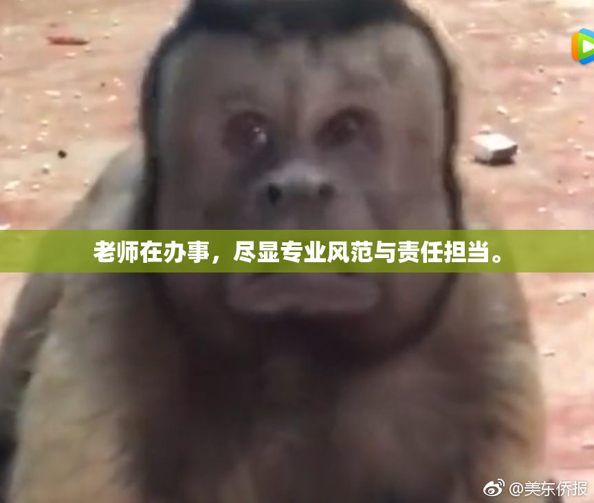 老师在办事，尽显专业风范与责任担当。