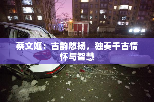 蔡文姬：古韵悠扬，独奏千古情怀与智慧