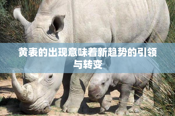 黄表的出现意味着新趋势的引领与转变