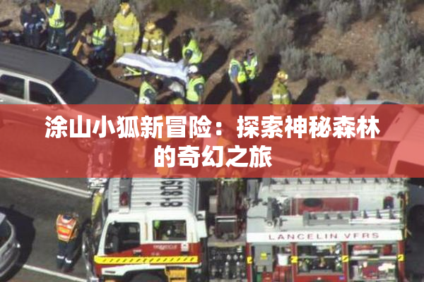 涂山小狐新冒险：探索神秘森林的奇幻之旅
