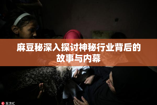麻豆秘深入探讨神秘行业背后的故事与内幕