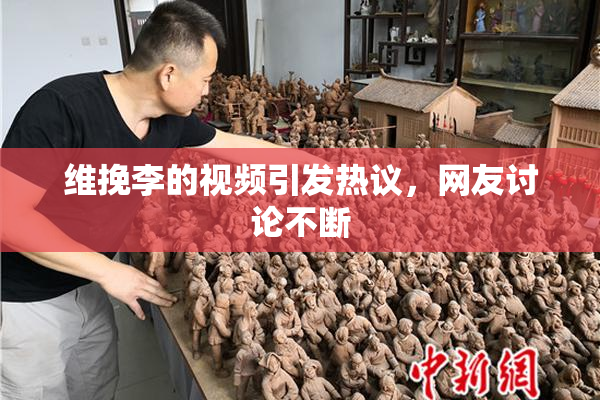 维挽李的视频引发热议，网友讨论不断