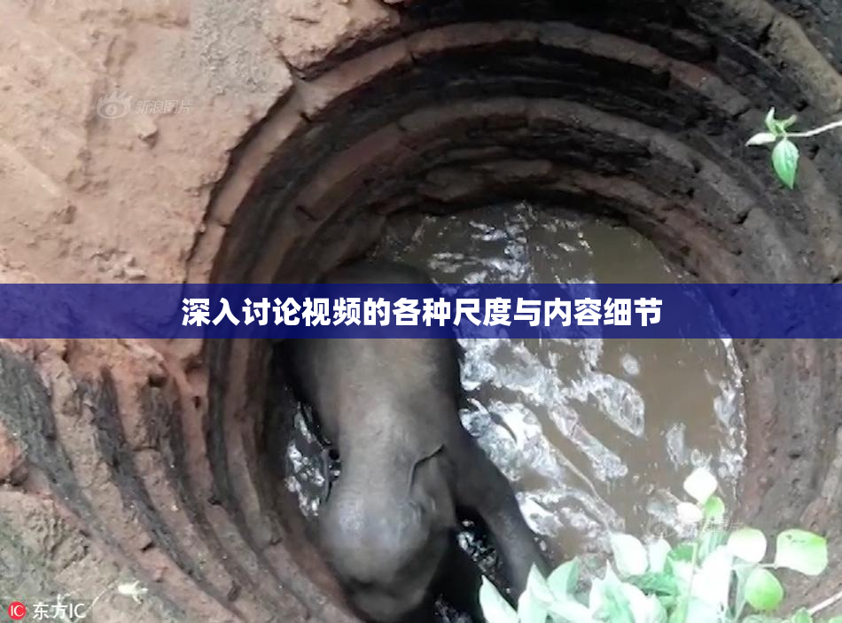 深入讨论视频的各种尺度与内容细节