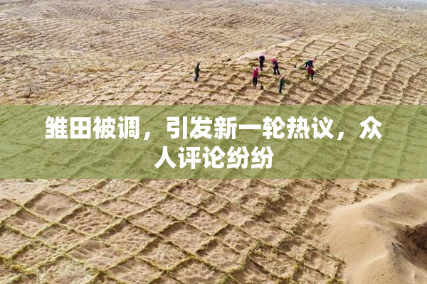 雏田被调，引发新一轮热议，众人评论纷纷