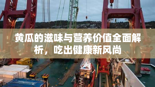 黄瓜的滋味与营养价值全面解析，吃出健康新风尚