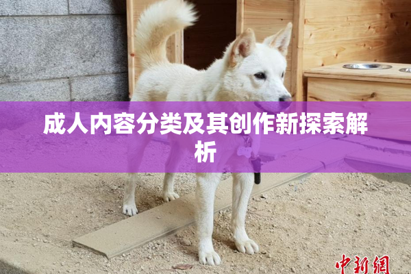 成人内容分类及其创作新探索解析