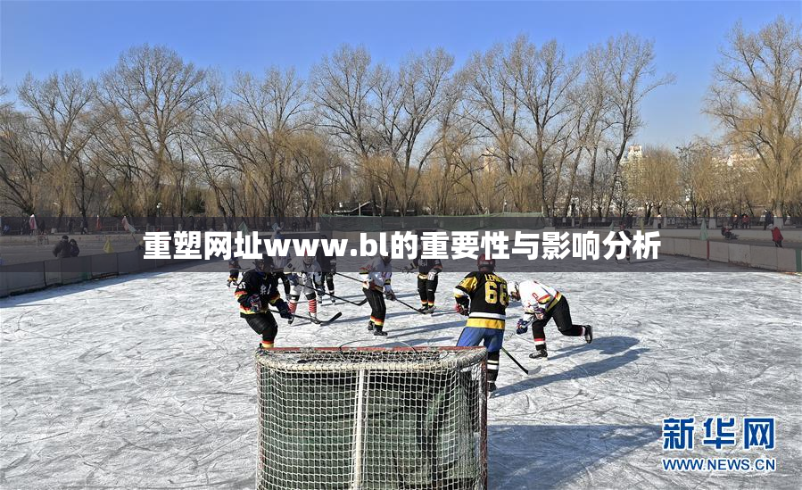 重塑网址www.bl的重要性与影响分析