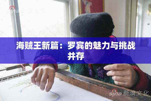 海贼王新篇：罗宾的魅力与挑战并存