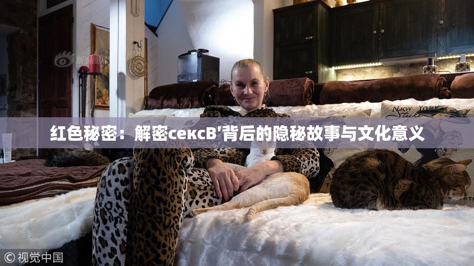 红色秘密：解密сексB′背后的隐秘故事与文化意义