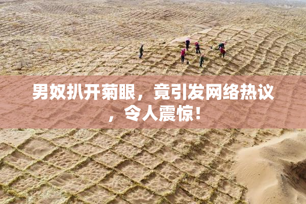 男奴扒开菊眼，竟引发网络热议，令人震惊！