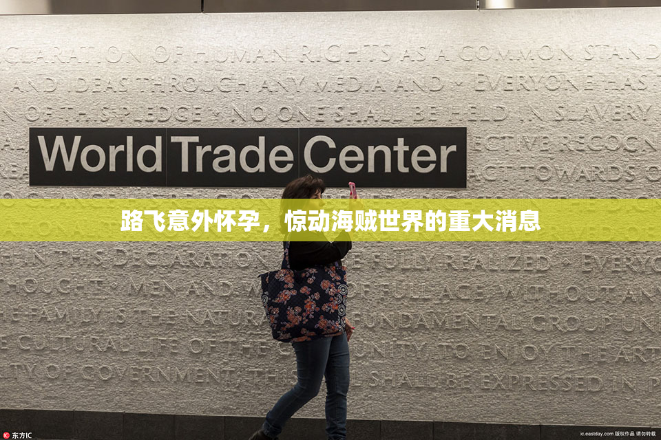 路飞意外怀孕，惊动海贼世界的重大消息