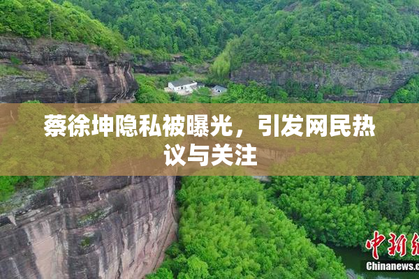 蔡徐坤隐私被曝光，引发网民热议与关注