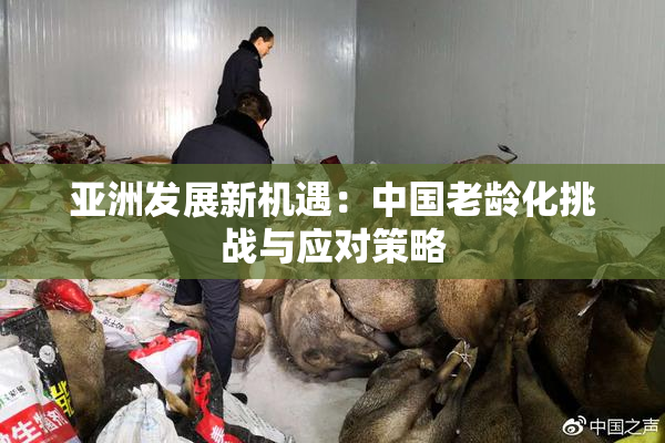 亚洲发展新机遇：中国老龄化挑战与应对策略
