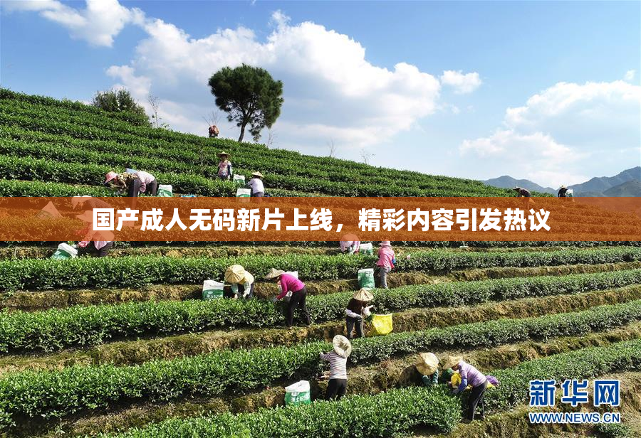 国产成人无码新片上线，精彩内容引发热议
