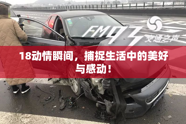 18动情瞬间，捕捉生活中的美好与感动！