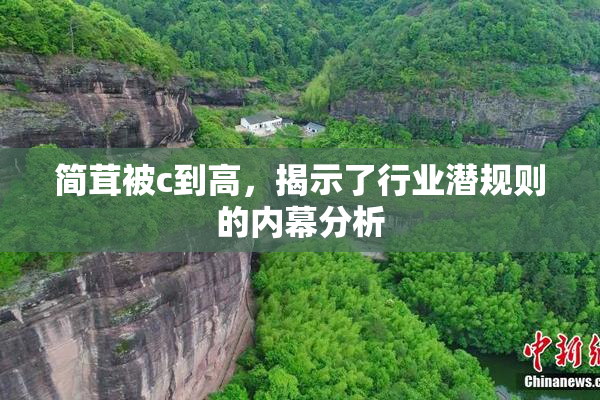 简茸被c到高，揭示了行业潜规则的内幕分析
