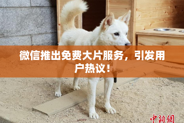 微信推出免费大片服务，引发用户热议！