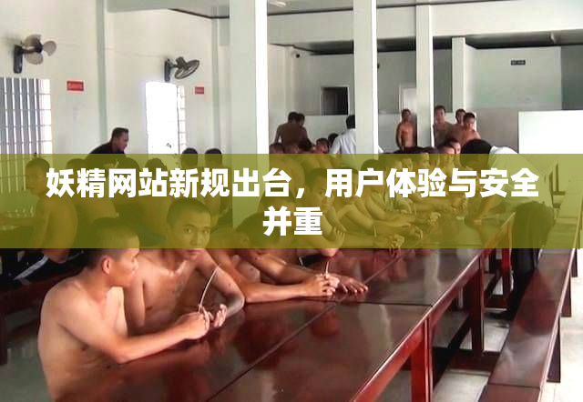 妖精网站新规出台，用户体验与安全并重