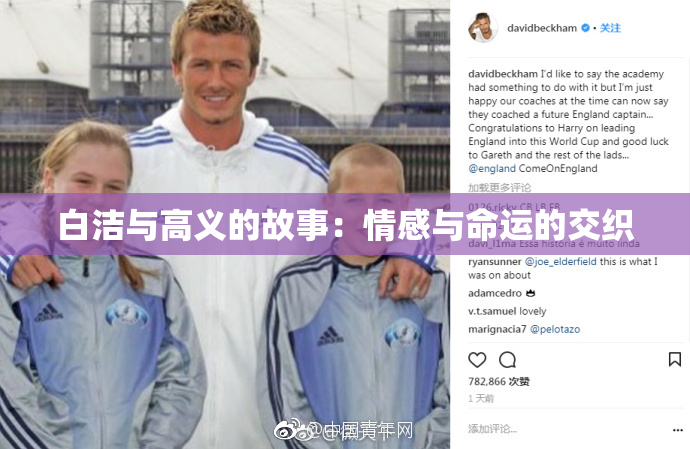 白洁与高义的故事：情感与命运的交织