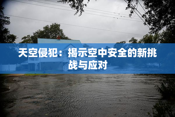 天空侵犯：揭示空中安全的新挑战与应对