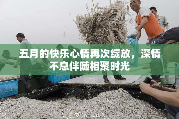 五月的快乐心情再次绽放，深情不息伴随相聚时光