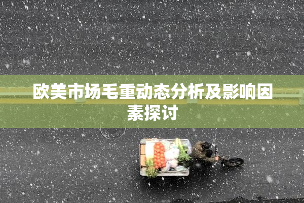 欧美市场毛重动态分析及影响因素探讨