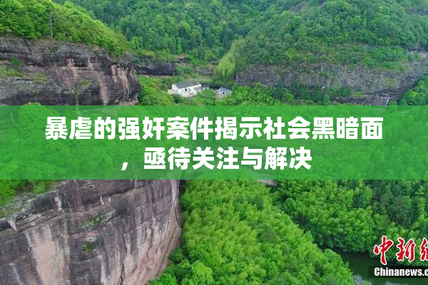 暴虐的强奸案件揭示社会黑暗面，亟待关注与解决
