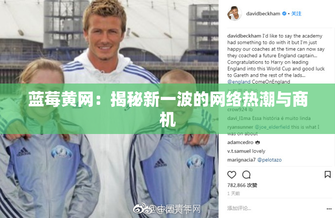 蓝莓黄网：揭秘新一波的网络热潮与商机