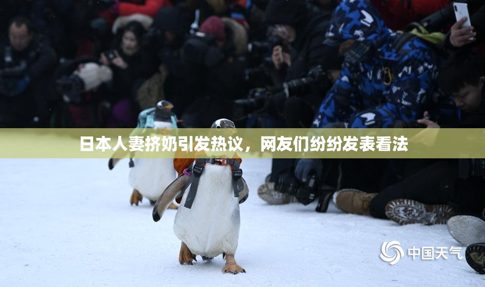日本人妻挤奶引发热议，网友们纷纷发表看法