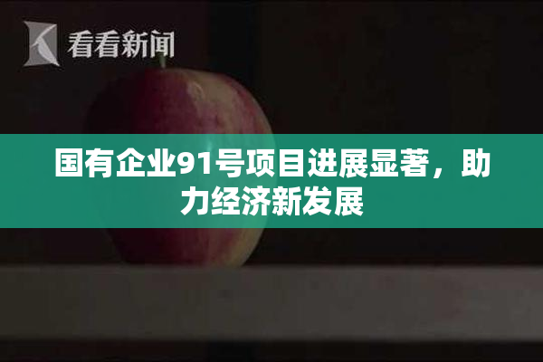 国有企业91号项目进展显著，助力经济新发展