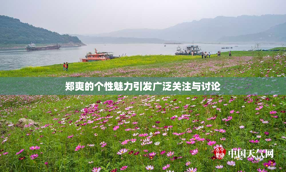 郑爽的个性魅力引发广泛关注与讨论