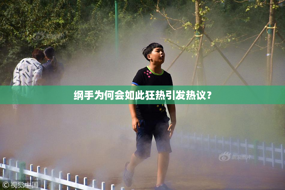 纲手为何会如此狂热引发热议？