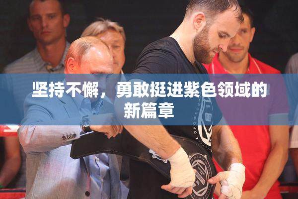 坚持不懈，勇敢挺进紫色领域的新篇章