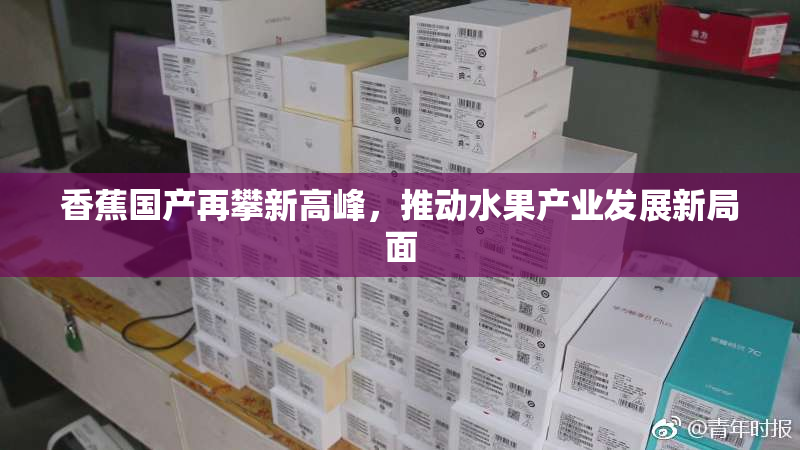 香蕉国产再攀新高峰，推动水果产业发展新局面