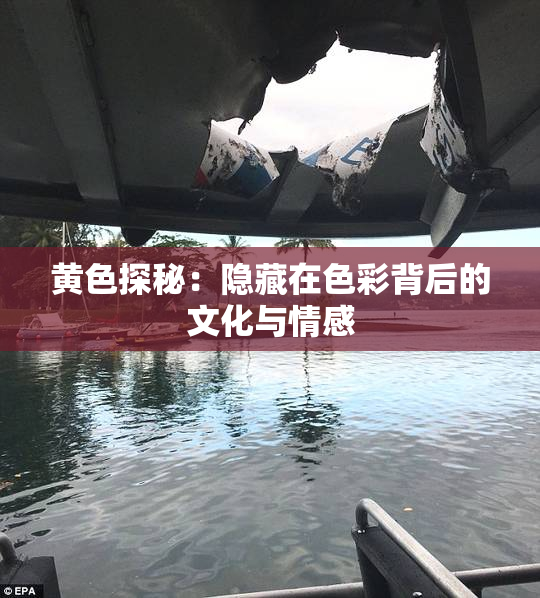 黄色探秘：隐藏在色彩背后的文化与情感