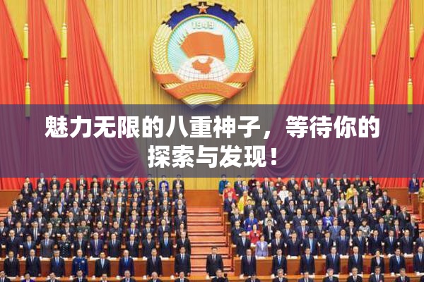 魅力无限的八重神子，等待你的探索与发现！