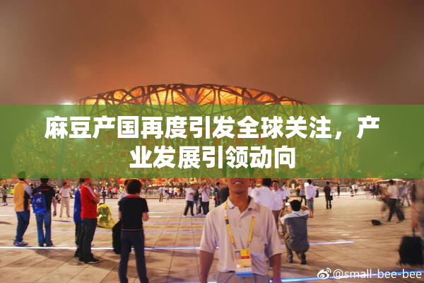 麻豆产国再度引发全球关注，产业发展引领动向