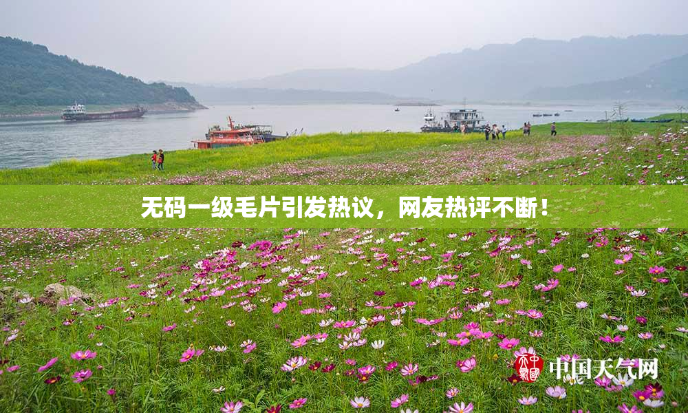 无码一级毛片引发热议，网友热评不断！