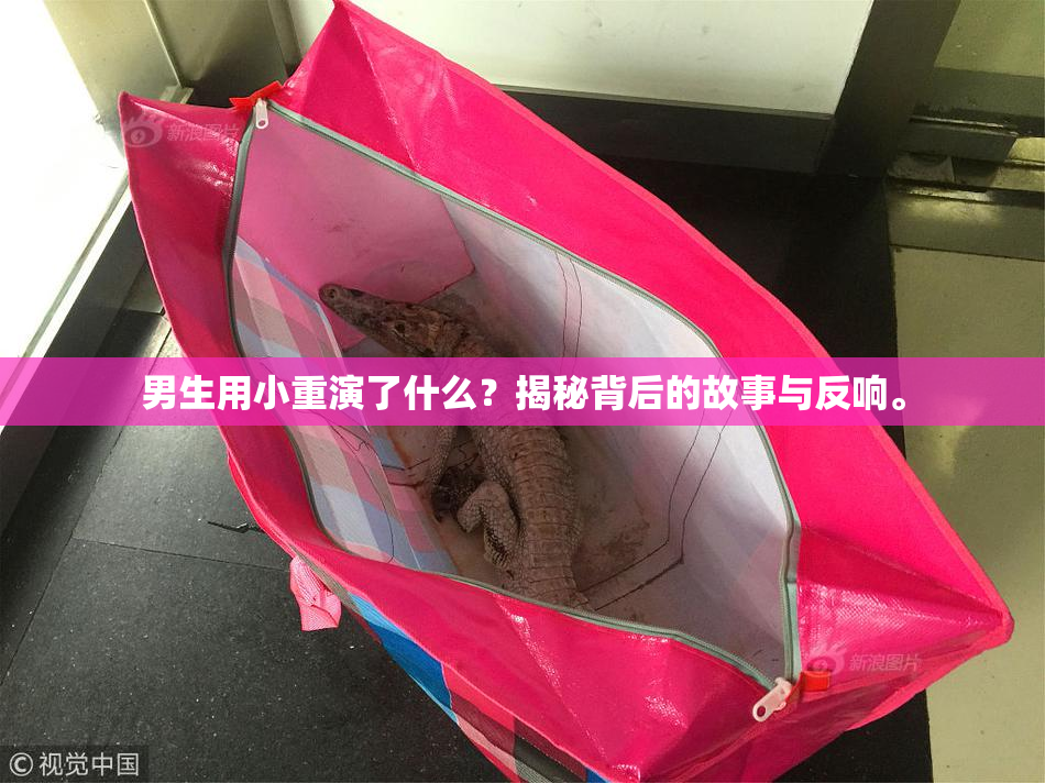 男生用小重演了什么？揭秘背后的故事与反响。