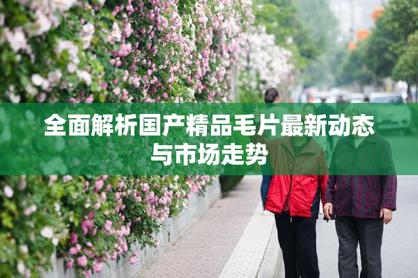 全面解析国产精品毛片最新动态与市场走势