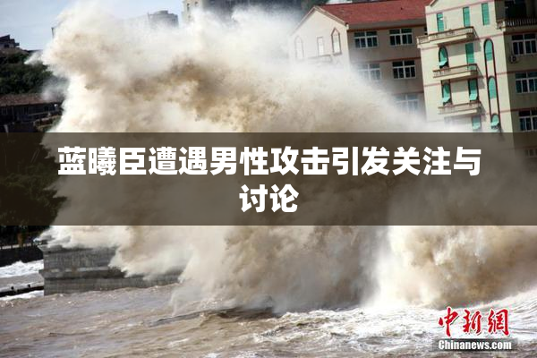 蓝曦臣遭遇男性攻击引发关注与讨论