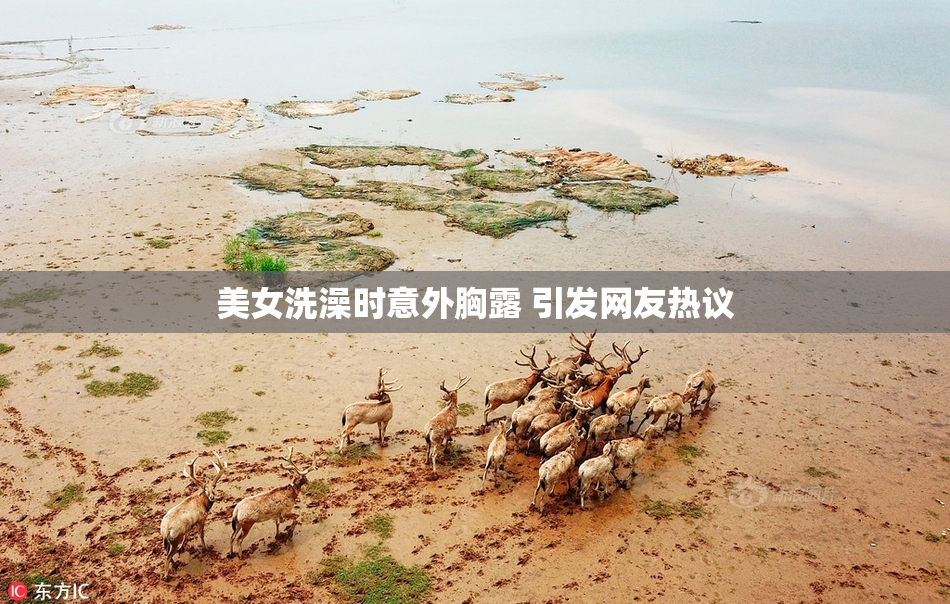 美女洗澡时意外胸露 引发网友热议