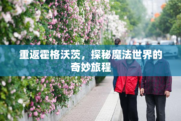 重返霍格沃茨，探秘魔法世界的奇妙旅程